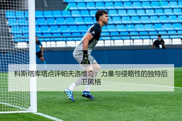 科斯塔库塔点评帕夫洛维奇：力量与侵略性的独特后卫风格 | AYXSPORTS